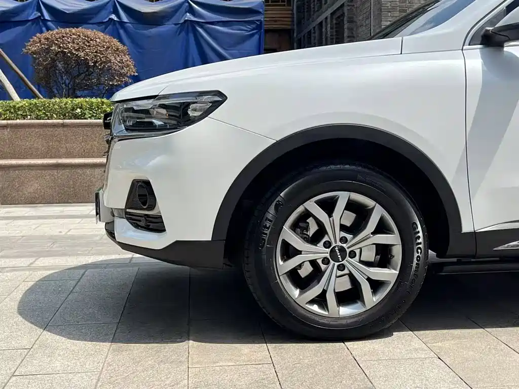 Haval H6 2022 — фото 23