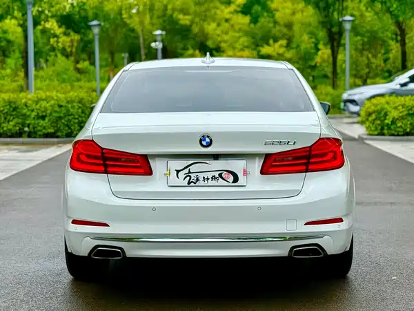 BMW 5 Series 2020