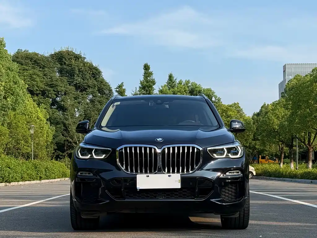 BMW X5 2021 — фото 2