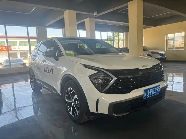 Kia Lion Platinum Expands The Boundary 2025