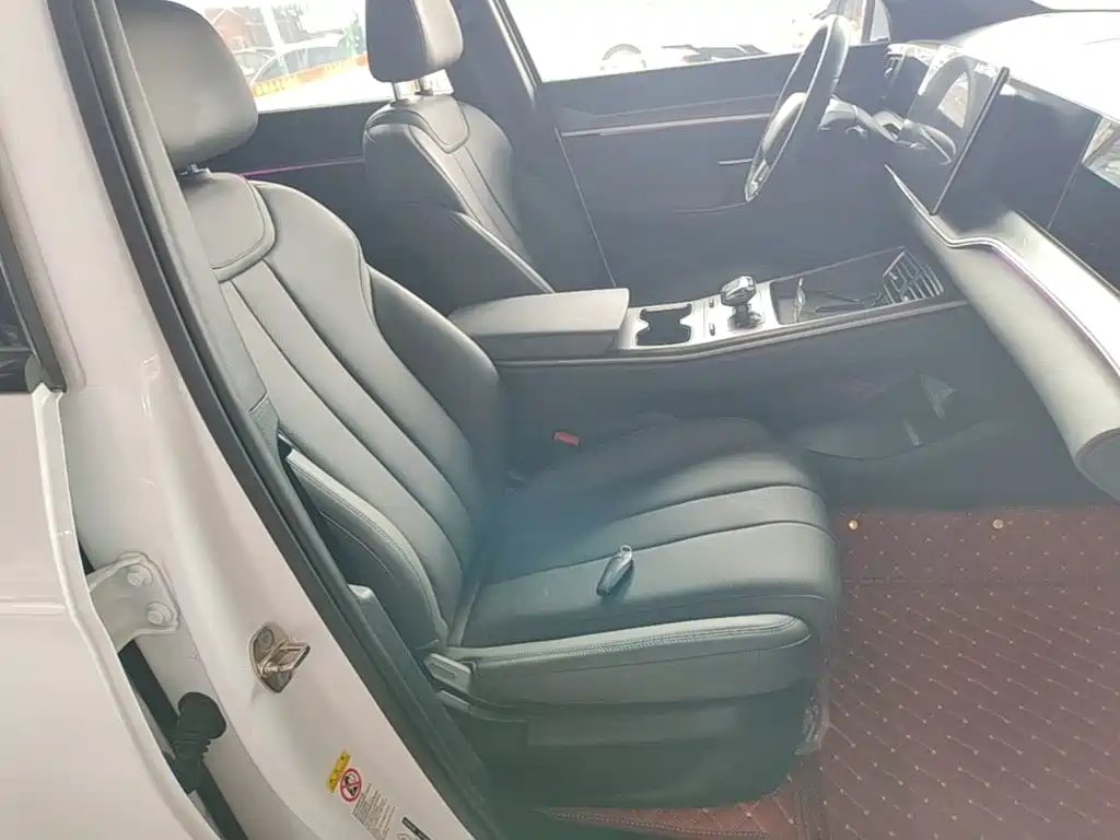 BYD Song Pro New Energy 2025 — фото 25