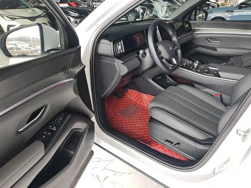BYD Song Pro New Energy 2025 — фото 16