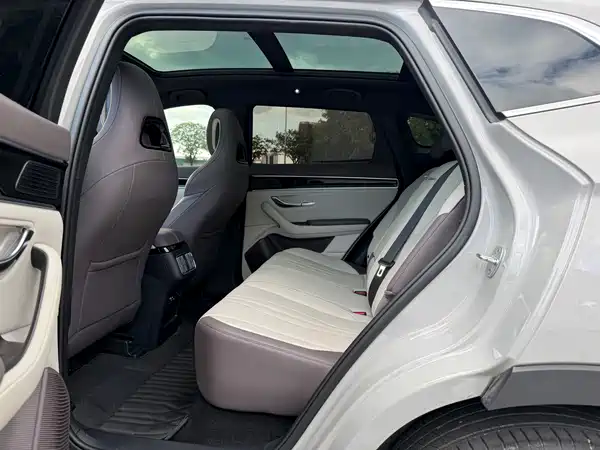 BYD Song PLUS New Energy 2024
