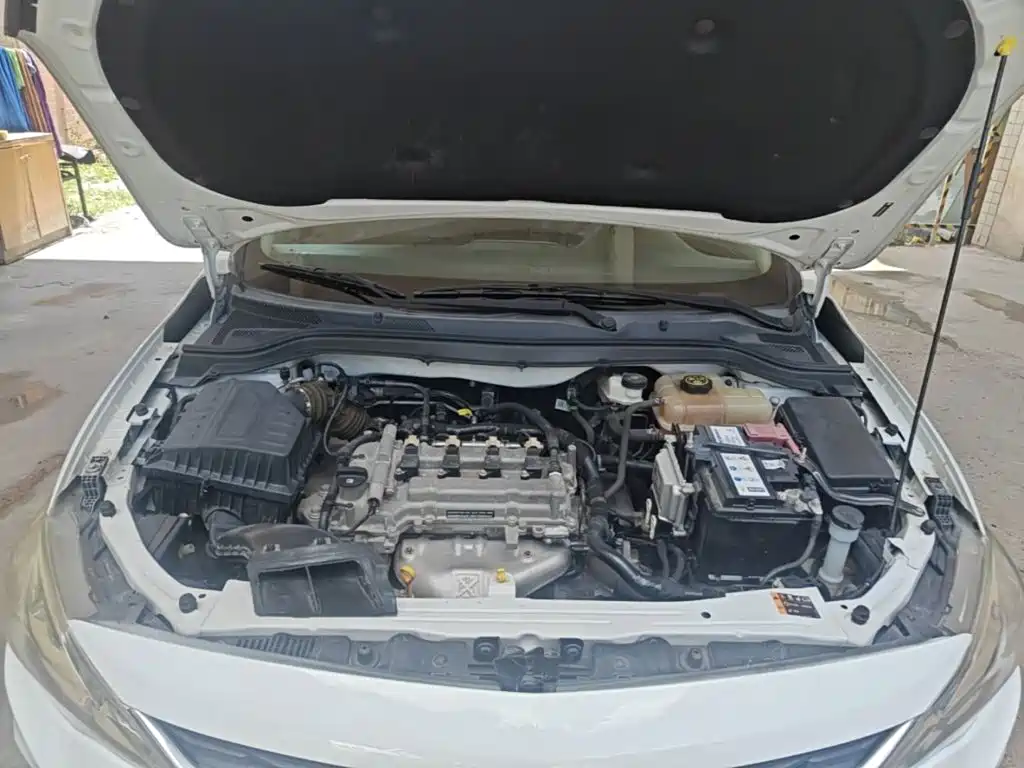 Chevrolet Cavalier 2018 — фото 20