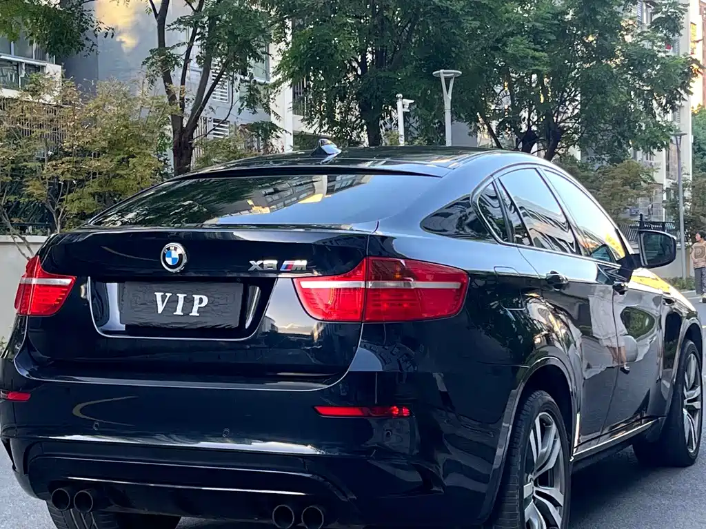 BMW X6 M 2011 — фото 11