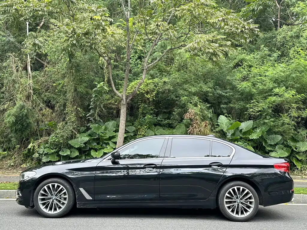BMW 5 Series 2019