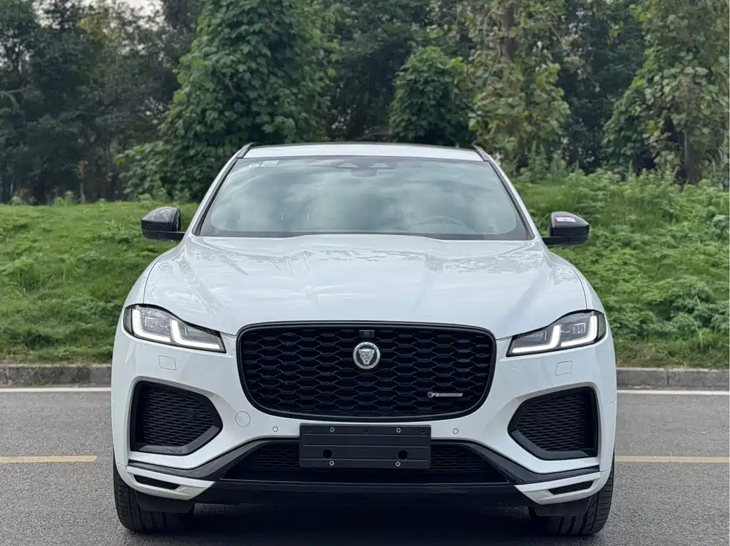 Jaguar F-PACE 2024 — фото 3