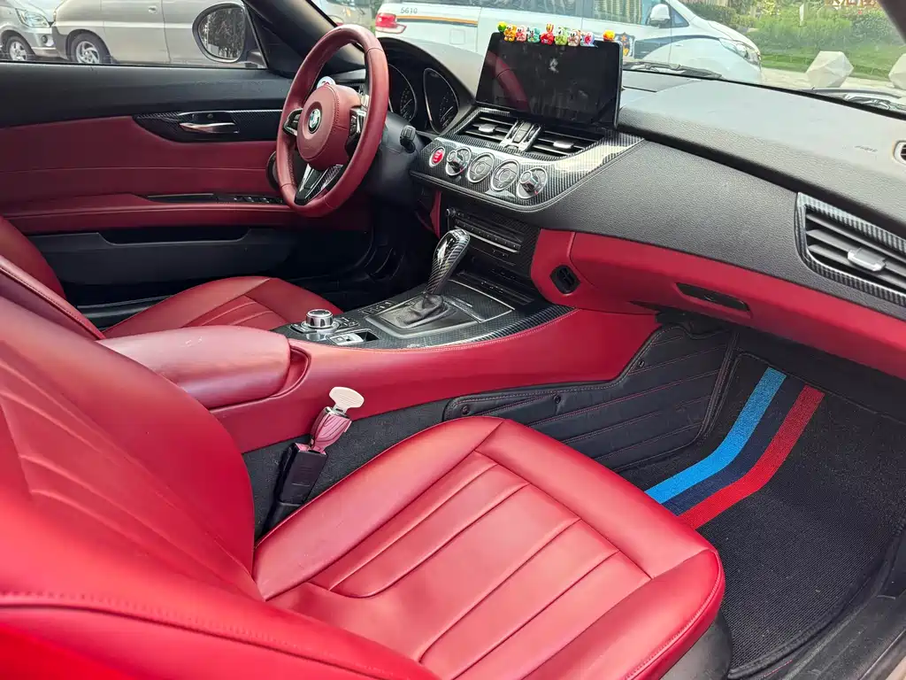 BMW Z4 2010