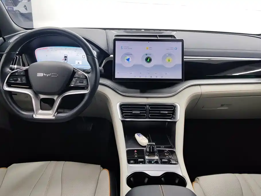 BYD Song PLUS New Energy 2024 — фото 12