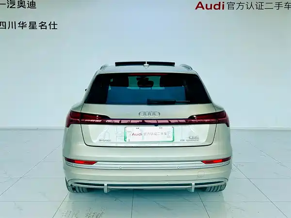 Audi e-tron 2021