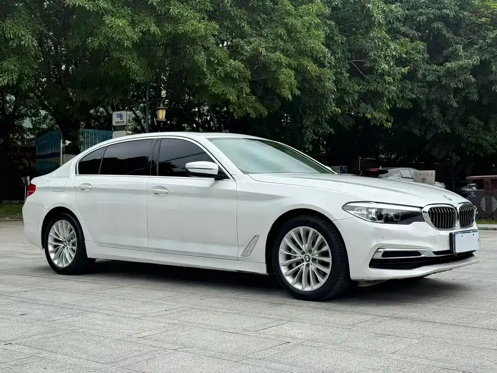 BMW 5 Series 2019