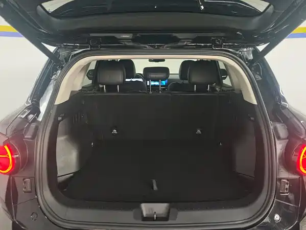 Haval Dog PLUS 2023
