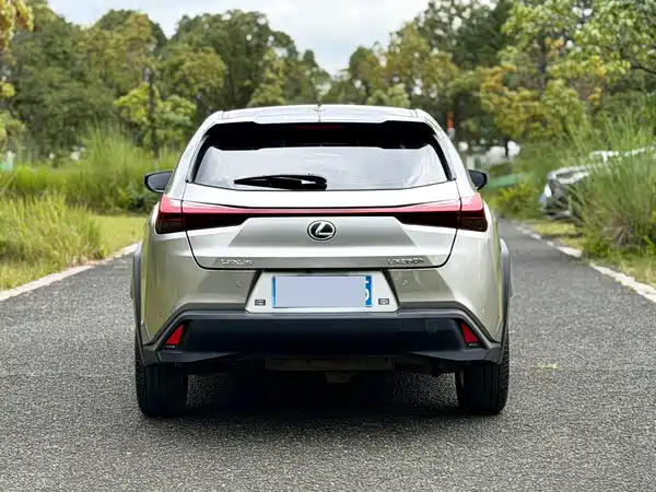 Lexus UX 2021