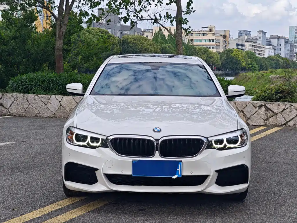 BMW 5 Series 2019 — фото 2