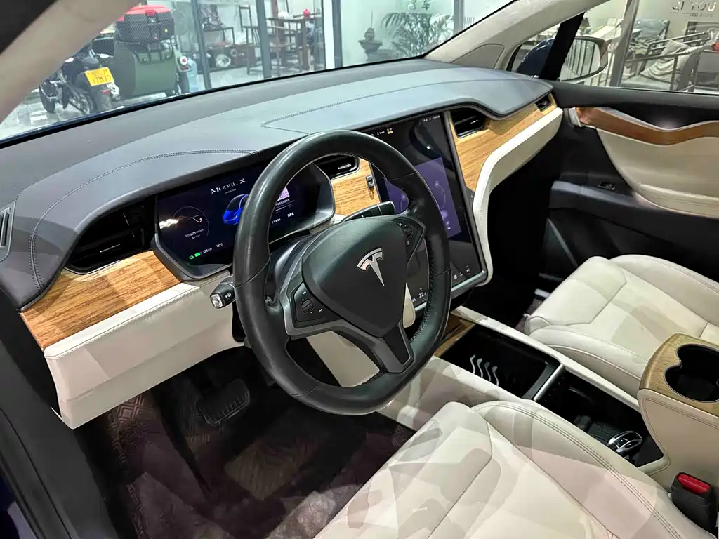 Tesla Model X 2019 — фото 10