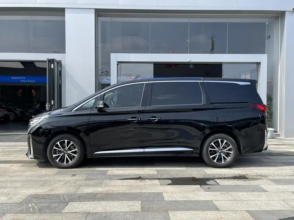 GAC Motor Trumpchi M8 2023 — фото 3