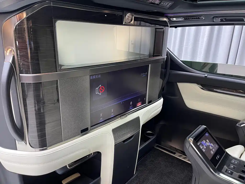 Lexus LM 2020 — фото 11