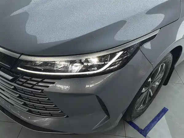 BYD Destroyer 05 2024