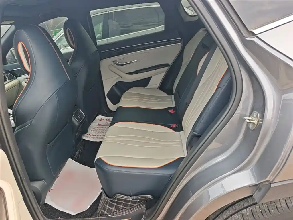BYD PLUS New Energy 2022 — фото 17