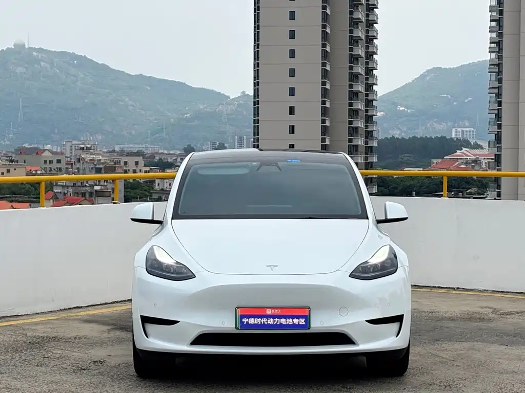 Tesla Model Y 2023 — фото 2