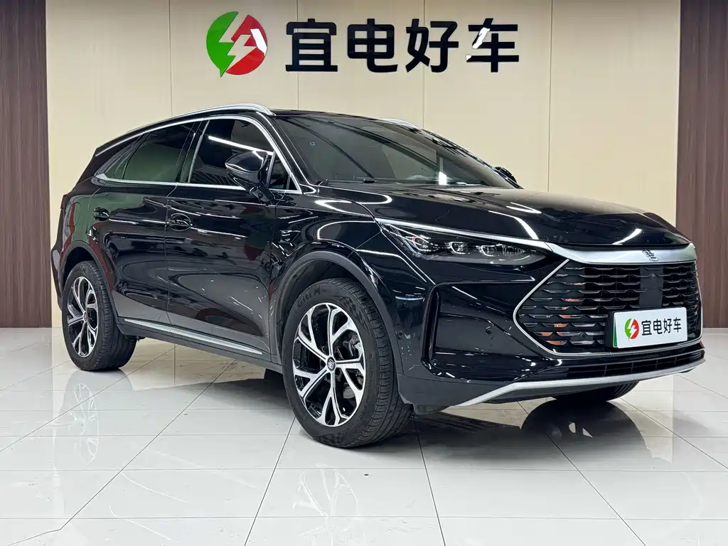 BYD Tang New Energy 2025 — фото 3