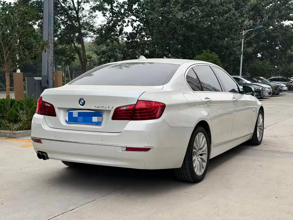BMW 5 Series 2014 — фото 6