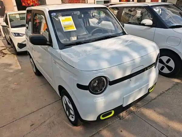 Geely Galaxy Panda 2026