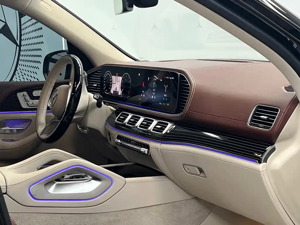 Mercedes-Benz Maybach GLS 2025 — фото 10