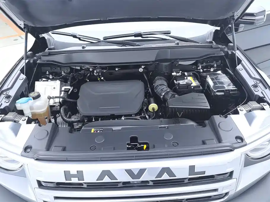 Haval Big Dog 2024 — фото 10