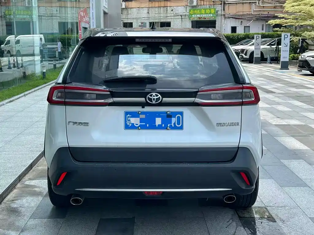 Toyota Wildlander 2020