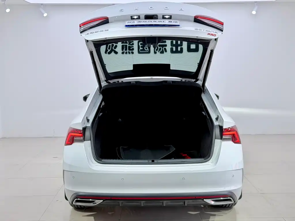 Skoda Octavia 2023 — фото 15