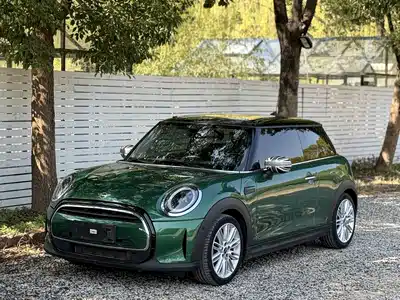 MINI MINI 2021