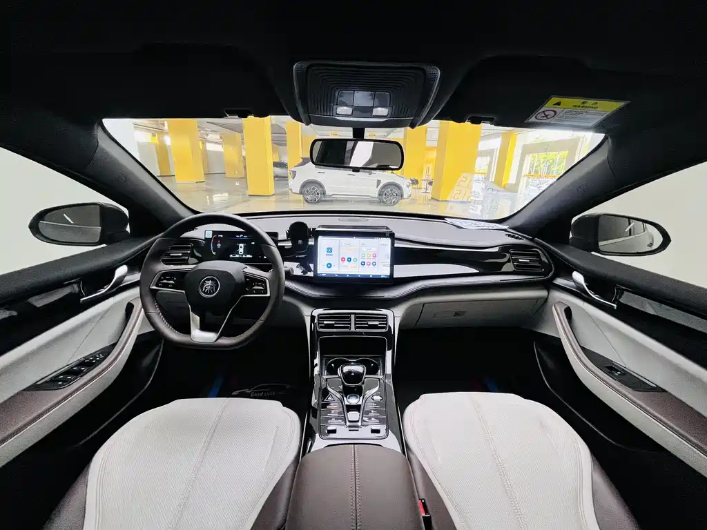BYD Qin PLUS 2023 — фото 10