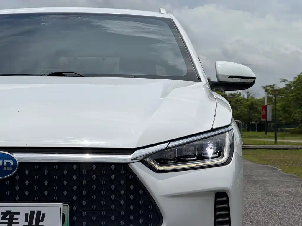 BYD e2 2021