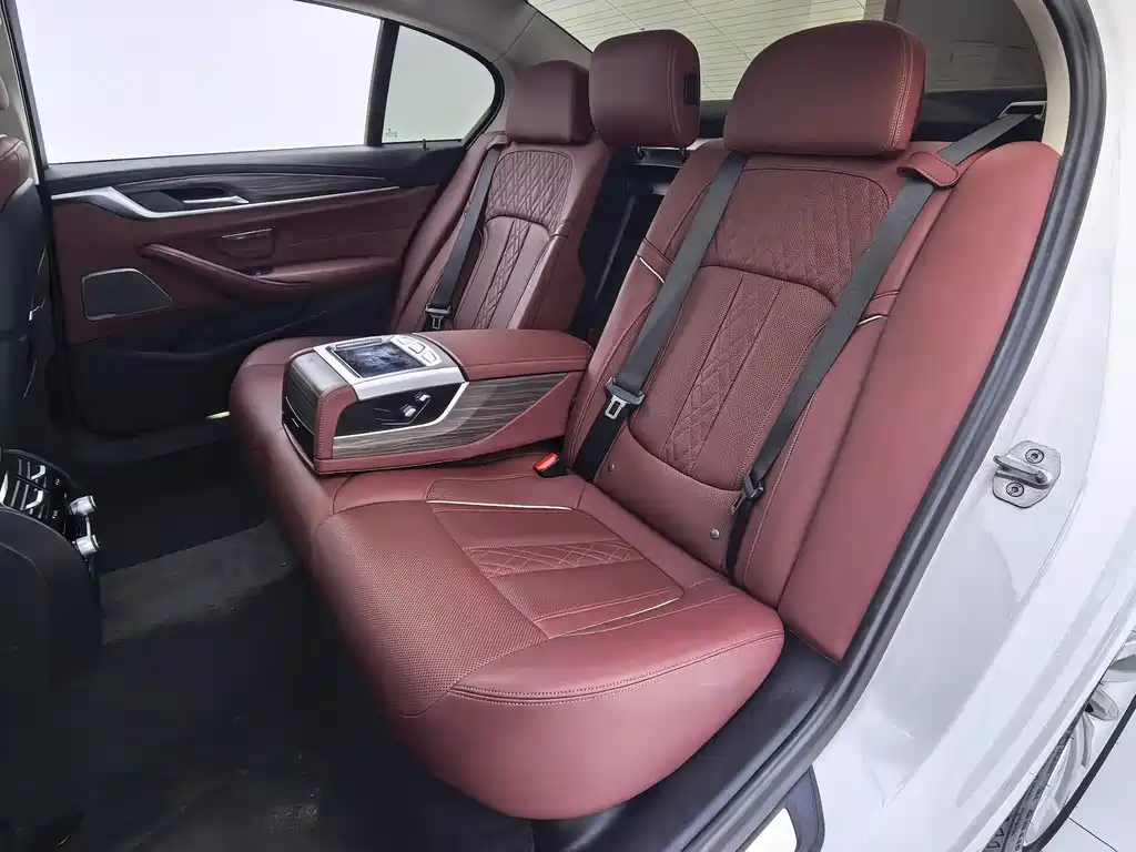 BMW 5 Series 2020 — фото 18