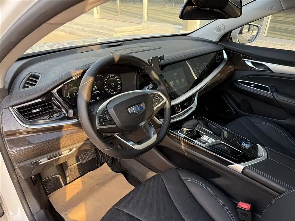 Geely Borui Hybrid 2019 — фото 16