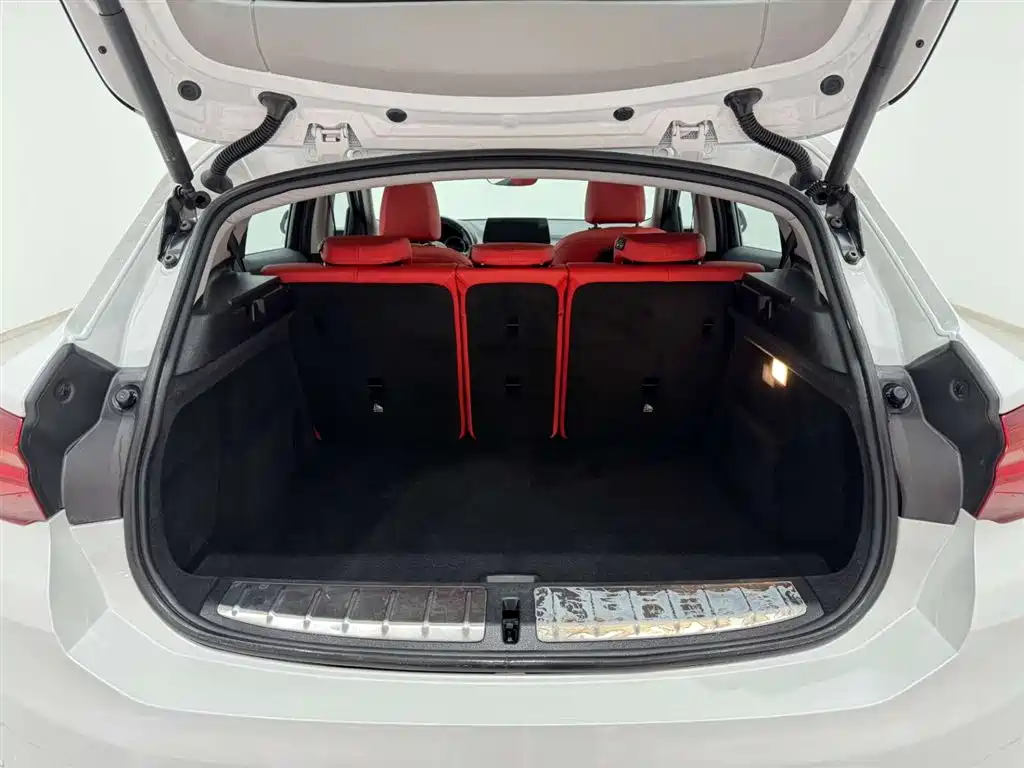 BMW X2 2023 — фото 14