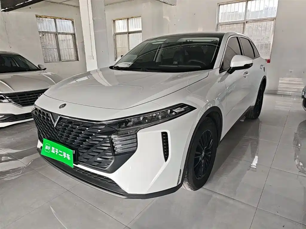 Venucia V 2022