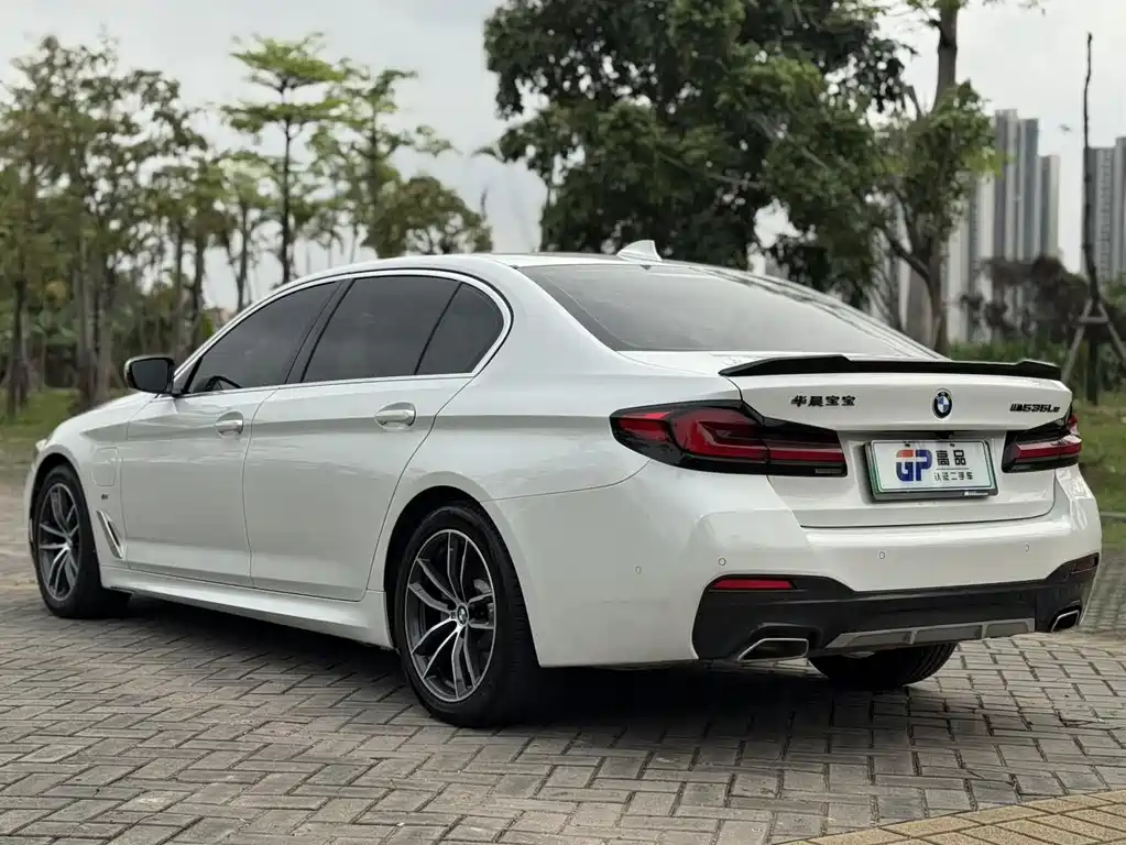 BMW 5 Series New Energy 2021