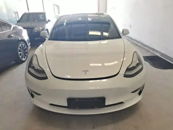 Tesla Model 3 2019