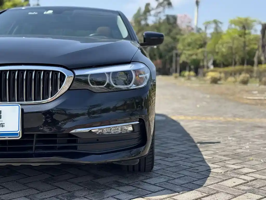 BMW 5 Series 2017 — фото 17