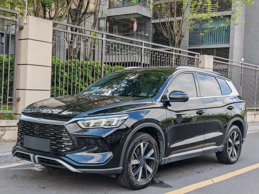 BYD Pro New Energy 2024