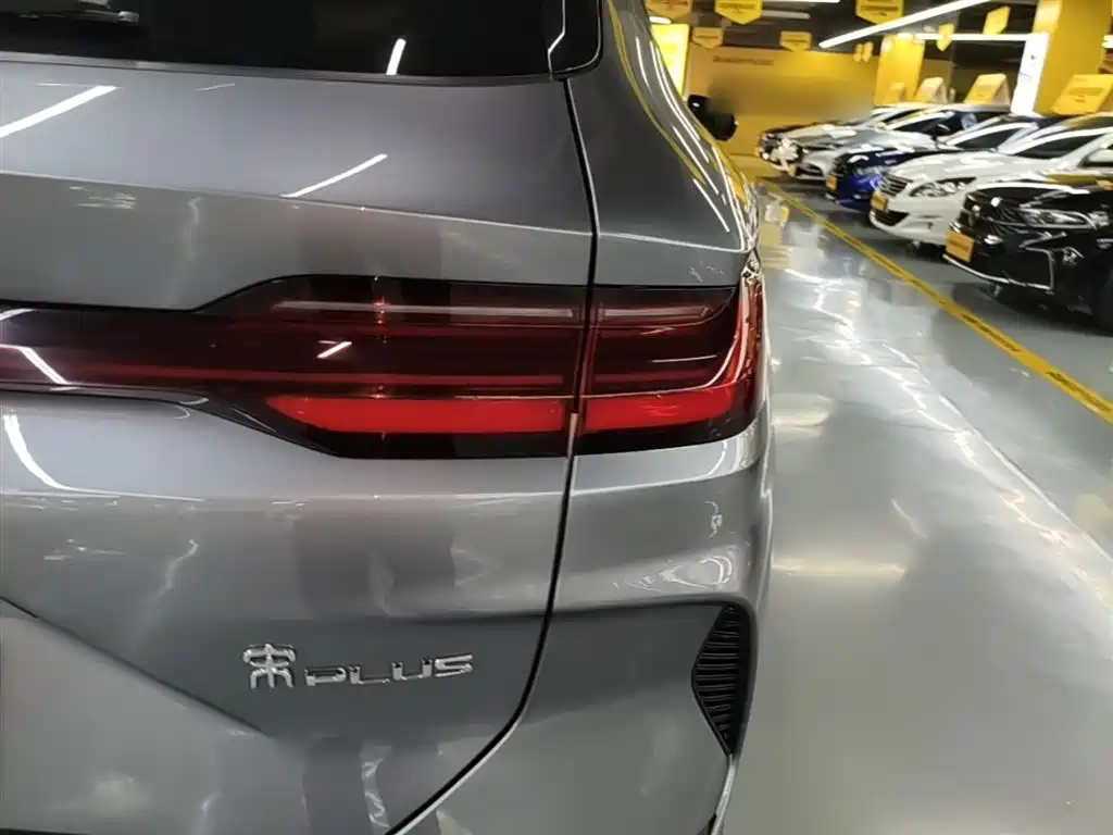 BYD PLUS New Energy 2024 — фото 8