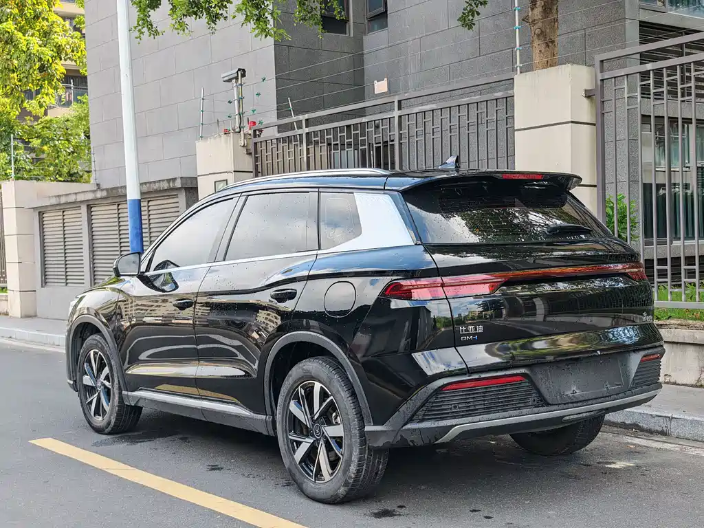BYD Pro New Energy 2024 — фото 17