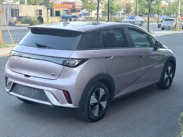 BYD Dolphin 2024