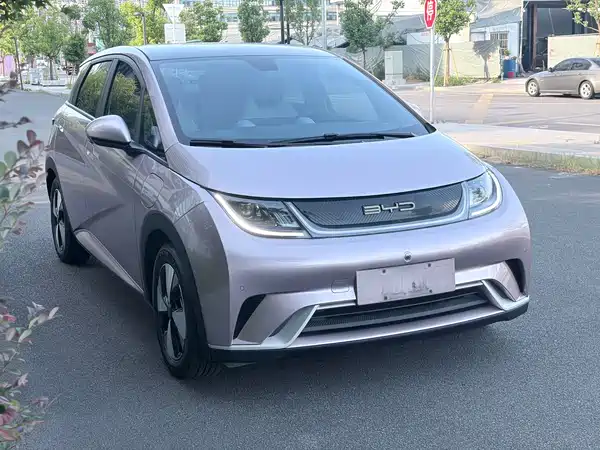 BYD Dolphin 2024