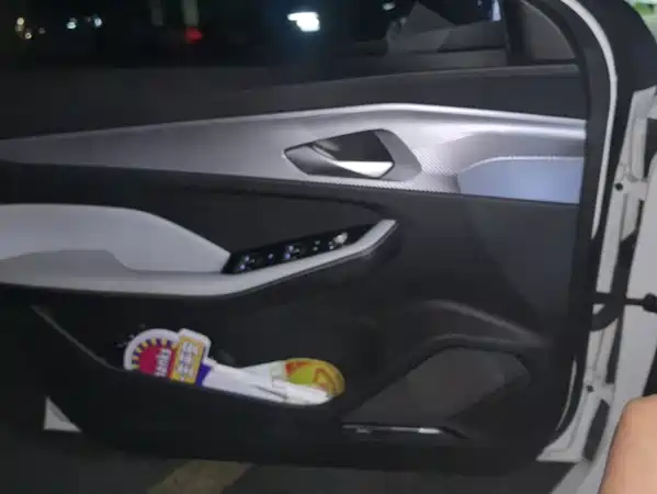 Geely Binrui 2023