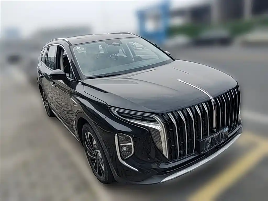 Hongqi HS7 PHEV 2024 — фото 7