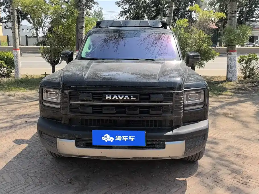 Haval Menglong New Energy 2025