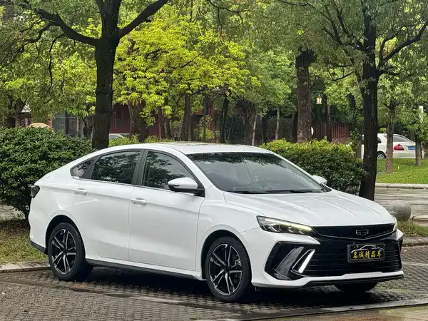Geely Binrui 2023